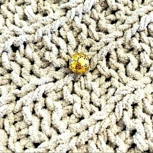 Authentic Pandora 14kt Gold